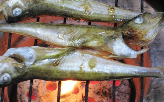 ハタハタ（大）干物 一夜干し 450g ×2箱【配送不可：離島】 魚貝類 