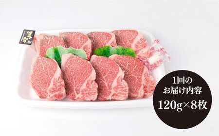【全3回定期便】【厚切ヒレステーキ】120g×8枚 A4ランク 博多和牛 糸島市 / 糸島ミートデリ工房 [ACA290] ステーキヒレ ヒレ肉フィレ ヘレ牛肉赤身黒毛和牛国産博多和牛