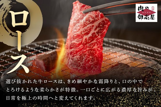 飛騨牛 A5等級 ロース 500g 焼肉用  冷蔵配送 焼肉 焼き肉 バーベキュー BBQ キャンプ アウトドア 牛肉 肉 お肉 FC-48