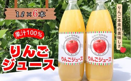 信州１００％リンゴジュース（1L瓶×6本）(N-1.7)