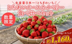 《数量限定》いちご厳選！さくら市産 とちあいか・スカイベリー食べ比べセット（290g×4パック） ｜ 先行予約 栃木県 果物 くだもの フルーツ 苺 イチゴ ※2027年1月～発送