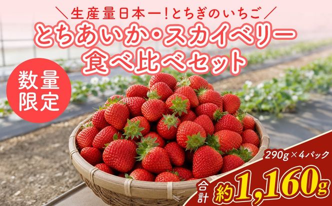 《数量限定》いちご厳選！さくら市産 とちあいか・スカイベリー食べ比べセット（290g×4パック） ｜ 先行予約 栃木県 果物 くだもの フルーツ 苺 イチゴ ※2027年1月～発送