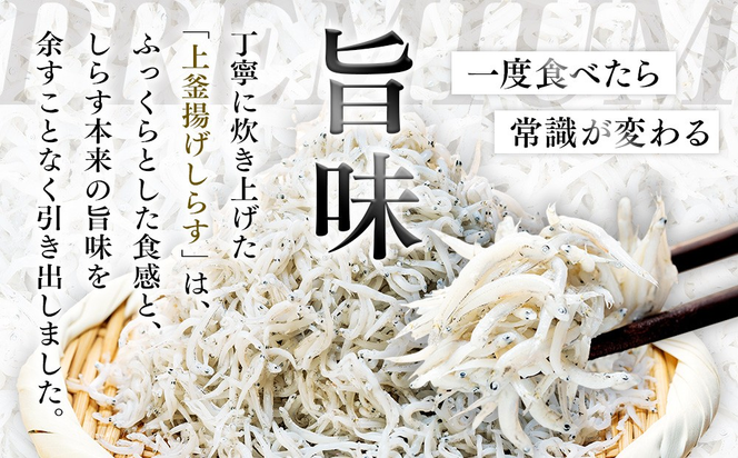 釜揚げ しらす プレミアム 約1.3kg (130g×10パック) 小分け 減塩 無添加 無着色 冷凍 愛知県 南知多町 ご飯 ごはん 丼 料理 シラス 国産 カネ成 人気 おすすめ シラス しらす しらすごはん shirasu sirasu SIRASU 人気シラス