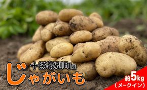 先行予約/2026年秋発送 北海道 十勝 幕別産 じゃがいも メークイン 約5kg 【横山農園】 野菜 根菜 食材 しっとり 崩れにくい 煮込み料理 炒め物 肉じゃが カレー シチュー 北海道のジャガイモ
