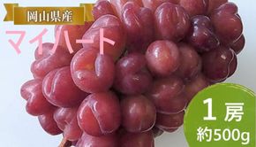 ぶどう 【2026年 早期受付】 マイハート 1房 約500g ブドウ 葡萄 岡山県産 国産 フルーツ 果物 ギフト [№5735-2088]