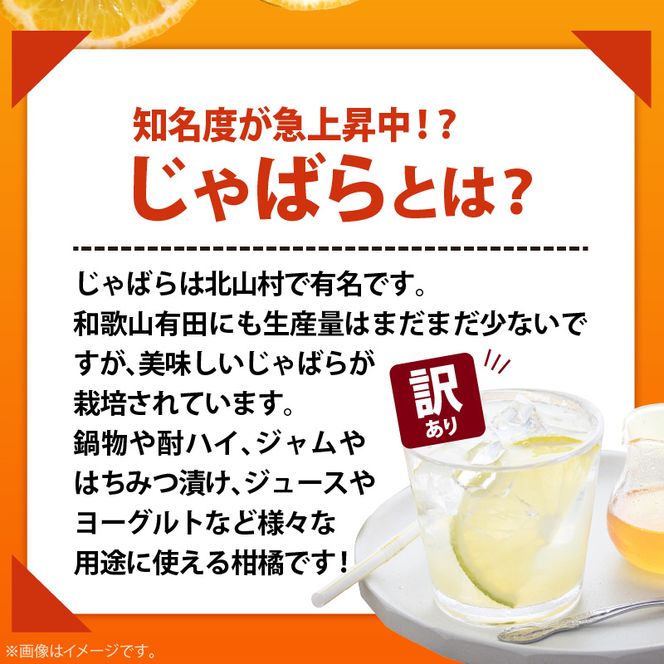 AB7033n_（国産）紀州和歌山の じゃばら 果実（訳あり ジャバラ 家庭用）1kg 国産 紀州 和歌山 じゃばら 果実 訳あり 家庭用