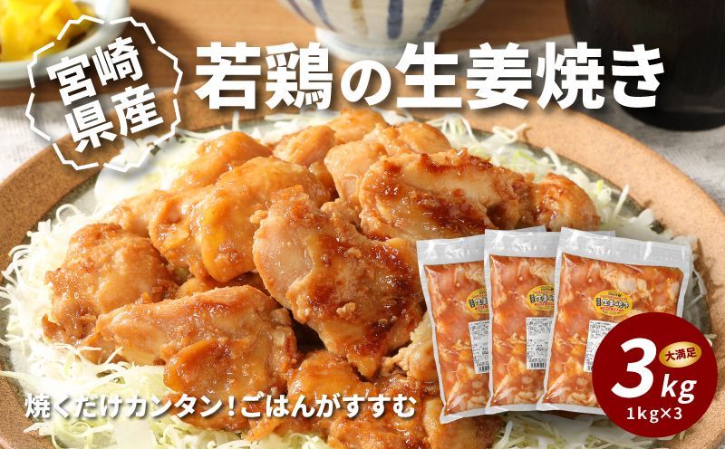 宮崎県産若鶏の生姜焼き K16_0060_2