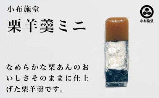 小布施栗菓子屋4社 一口サイズの栗羊羹食べ比べセット ふるさと納税限定 ［小布施屋］ 詰め合わせ 和菓子 スイーツ お取り寄せ 味比べ 和菓子セット 栗菓子 栗ようかん 栗羊羹 名物 長野 信州 小布施堂 桜井甘精堂 栗庵風味堂 塩屋櫻井［A-105］