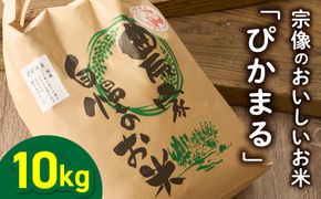 令和7年産 むなかた産 米 ぴかまる 10kg【みきふぁーむ】_HA1544