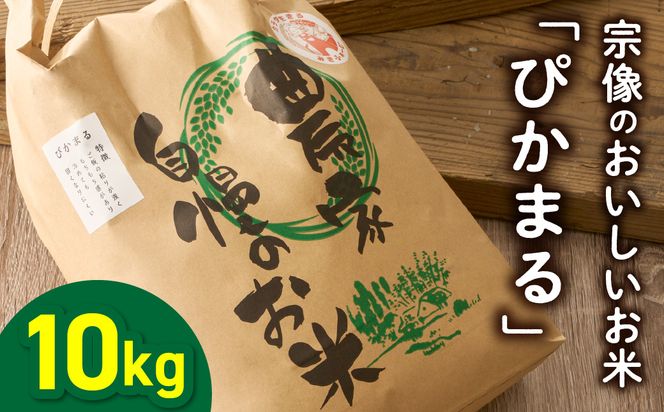 令和7年産 むなかた産 米 ぴかまる 10kg【みきふぁーむ】_HA1544