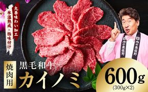 mrz0445 【氷温熟成×極味付け】黒毛和牛 カイノミ 焼肉用 600g【小分け 300g×2P 牛肉 かいのみ 赤身 希少部位】