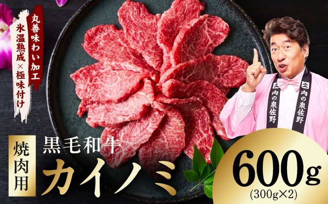 mrz0445 【氷温熟成×極味付け】黒毛和牛 カイノミ 焼肉用 600g【小分け 300g×2P 牛肉 かいのみ 赤身 希少部位】