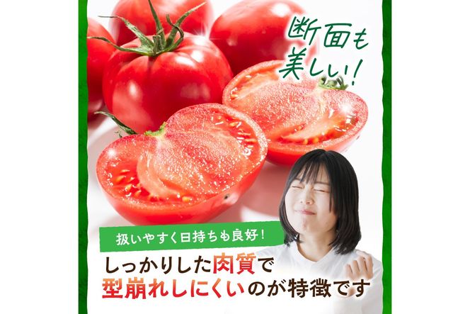 【先行予約】京丹後産・京トマト 2kg（8～10玉） 春夏発送（2026年5月中旬～発送）　JK00033