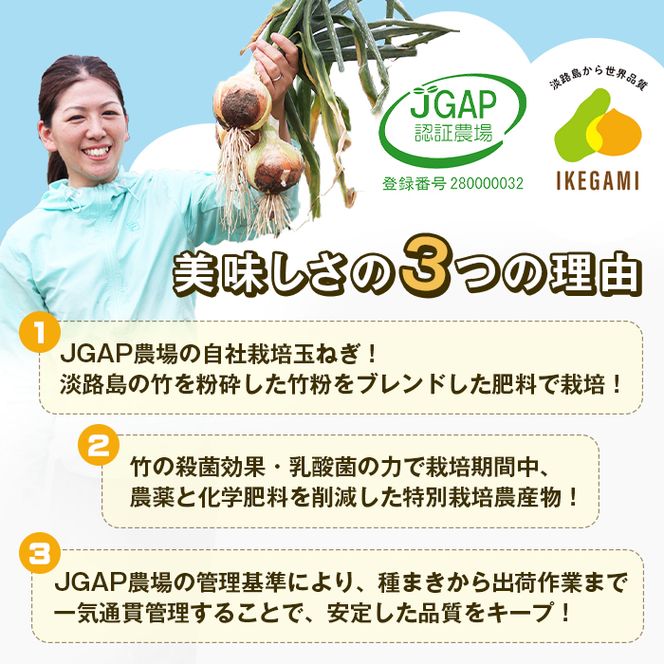 【定期便】淡路島 池上農場の完熟玉ねぎ「あやたけ」10kg　12ヶ月コース　玉ねぎ