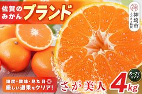 【2026年10月上旬より発送開始】佐賀美人(みかん) 4kg S～2Lサイズ【みかん ブランドみかん 柑橘 酸味 フルーツ デザート】(H116142)