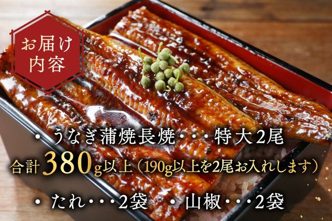 （6月発送）国産　特大　特上うなぎ 2尾 合計 380g 以上【OT000O190_006】