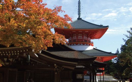 ＜世界遺産高野山＞ 宿坊 宿泊割引チケット 9,000円分 303446_EA003