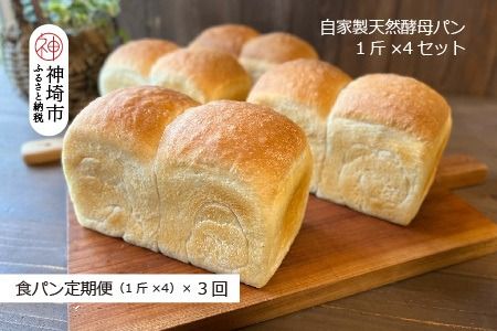 [定期便3回]自家製天然酵母の食パン 4斤[パンと器のコネル] [パンと器のコネル 国産小麦 パン 自家製 天然酵母 玄米麹 朝食 おやつ](H094126)