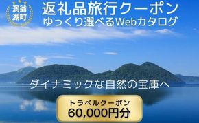 北海道ツアー 洞爺湖温泉 後から選べる旅行Webカタログで使える！ 旅行クーポン（60,000円分） 旅行券 宿泊券 飲食券 体験サービス券 北海道 ふるさと納税 洞爺湖 観光 温泉 絶景