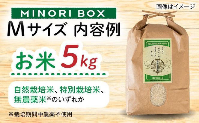 【全6回定期便】糸島産 肉 米 野菜 果物 厳選詰め合わせ MINORI BOX Mサイズ 糸島市 / emma.Inc / 米 肉 野菜 果物 詰め合わせ[AOP013]