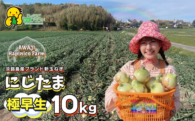 淡路島産ブランド新玉ねぎ 極早生 「にじたま」  10kgダンボール入り【発送時期2026年2月中旬～4月頃】