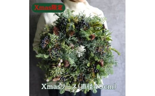 ymtszXmas@NX}X[X 40@@ԁ@CeA@NX}X@[X@hCt[@@֏@Ǐ@A@炵@~@Gߌ@ꂢ@Y@G 2025N11{菇\