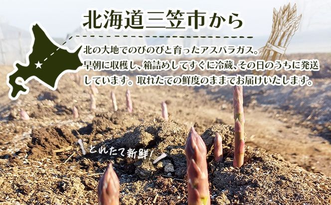 【先行受付】のみやまファームのグリーンアスパラガス（Ｍ～２L以上）1kg【05004】
