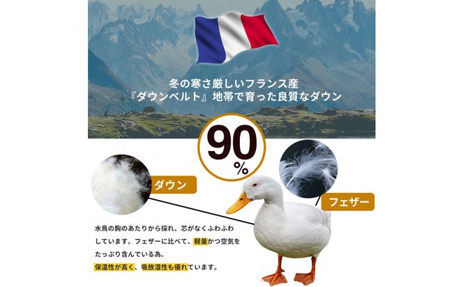 羽毛布団 シングル フランス産 ダックダウン90% 1.3kg (ブルー) ボディーアームスキルト 380dp 322032_BD019VC02