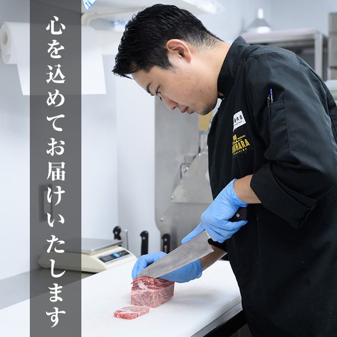 ＜数量限定＞石原牛 ヒレステーキ ヒレ(計480g・120g×4枚) 黒毛和牛 国産 九州産 鹿児島県産 牛肉 ブランド牛 和牛 ヒレ ステーキ 赤身 冷凍 贅沢 贅沢な一品 贈答用 ギフト用【株式会社石原PRO】akn083-10