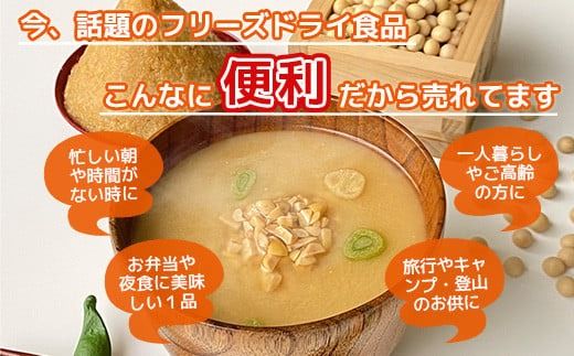 フリーズドライ業務用 納豆の味噌汁15食　BY008