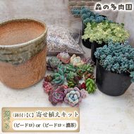 【届いてすぐ楽しめる！】多肉を育ててみたい方へのセット商品寄せ植えキット（鉢付）【C】 ・苗・土・伊賀焼オリジナル陶器鉢3.5号 1セット 多肉植物 家庭菜園 伊賀焼 陶器鉢 土 苗 初心者 簡単 色鮮やか 三重県 名張市