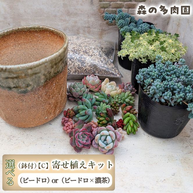 【届いてすぐ楽しめる！】多肉を育ててみたい方へのセット商品寄せ植えキット（鉢付）【C】 ・苗・土・伊賀焼オリジナル陶器鉢3.5号 1セット 多肉植物 家庭菜園 伊賀焼 陶器鉢 土 苗 初心者 簡単 色鮮やか 三重県 名張市