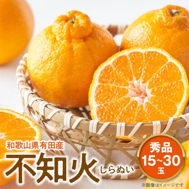 【2027年先行予約】不知火 しらぬい(デコポンと同品種) 秀品 15～30玉 和歌山県有田産_U6306