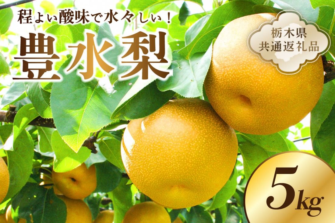 ns096-002 [栃木県共通返礼品] JAなすの産 梨 豊水 5kg