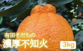 有田育ちの濃厚不知火(家庭用)(通称デコポン) 3kg+200g(傷み補償分) ※2027年1月下旬～3月下旬に順次発送 ※北海道・沖縄・その他離島地域は発送不可【ard010-c-3A】