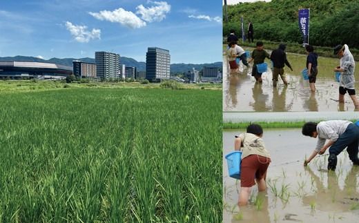 土と田と The Beginning 2024 720ml ≪無濾過純米大吟醸酒 日本酒 大吟醸 純米酒 お酒 京都 亀岡産 山田錦 酒 お取り寄せ ギフト≫