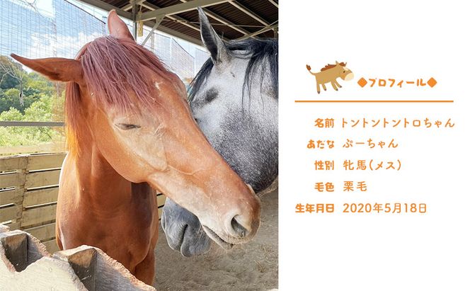 張子の馬 トントントントロ 通常バージョン 馬 うま 置物 インテリア 張子 張り子 干支 手造り オリジナル