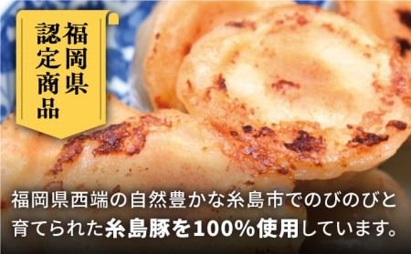 元祖・糸島豚籠包 20個入 糸島市 / 食工房たまひろ [ASA012] 豚 ブタ ぶた 小籠包 中華 おかず グルメ お取り寄せ 送料無料 点心