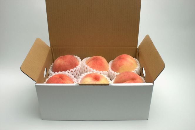 和歌山の厳選白桃 約1.5kg【白鳳・清水白桃・川中島・もも・はくとう】【化粧箱入り】【2026年7月中に順次発送】※日付指定不可 【ikd717A】