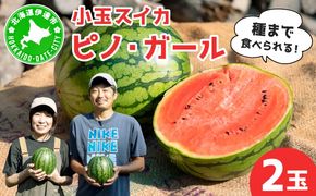 ＜先行予約＞北海道伊達産 小玉スイカ "ピノ・ガール" 【tom-001】