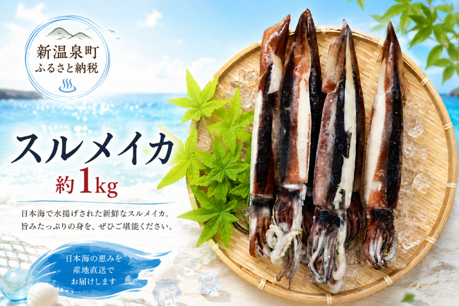 スルメイカ　2杯×3　約1kg