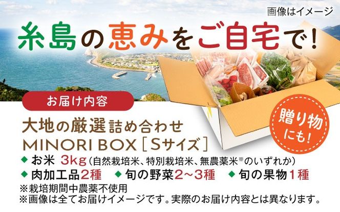 糸島産 肉 米 野菜 果物 厳選詰め合わせ MINORI BOX Sサイズ 糸島市 / emma.Inc / 米 肉 野菜 果物 詰め合わせ[AOP007]
