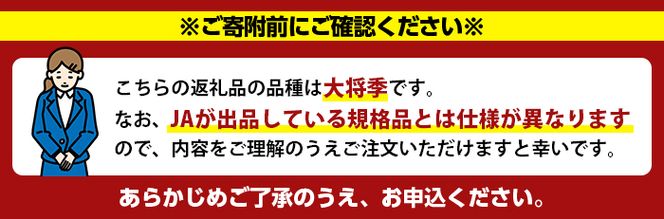 ＜先行予約受付中！2027年4月上旬以降順次発送予定＞ ＼テレビで紹介されました！／数量限定！冷蔵不知火「クールな大将季」(計約3kg) 国産 みかん ミカン 柑橘 フルーツ 果物 旬 デザート 露地 しらぬい シラヌイ 期間限定【三笠農業生産】akn051-06