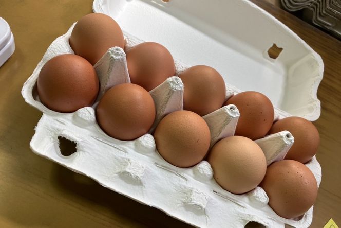 卵 原田のこだわり卵 10個 2パック 計 20個 [山崎幹男養鶏場 福岡県 筑紫野市 21760867] たまご 生卵 玉子 小分け