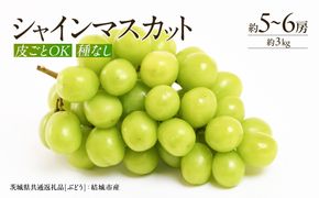 シャインマスカット約3kg5～6房 【2026年7月より発送開始】（茨城県共通返礼品 [ぶどう]：結城市産） マスカット 種なし 高糖度 ギフト 甘い 美味しい フルーツ [BI263-NT]