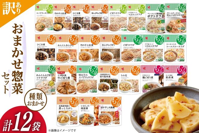 yÉgcz󂠂 }UL ܂ y Zbg 12 lߍ킹 [}UL É gc 22424507]  y ① Jlg g souzai