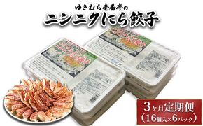 【3ヶ月定期便】ゆきむら壱番亭のニンニクにら餃子6パック(96個入り) ※離島への配送不可