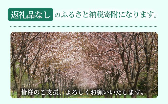滝川市 ふるさと支援 寄附のみの応援受付 4,000円コース（返礼品なし 寄附のみ 4000円）