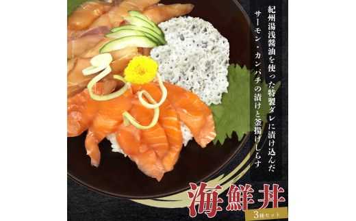 紀州湯浅醤油を使ったサーモンとカンパチの漬け＆釜揚げしらすの 海鮮丼 ３種セット 計３００g【uot756A】