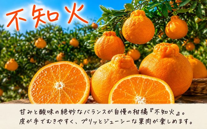 【全3回定期便】フルーツ大国和歌山よりお届け！旬のフルーツ定期便B【田村みかん・まりひめ・紀州デコ】 / フルーツ 果物 みかん いちご  旬 定期便  【tkb351】